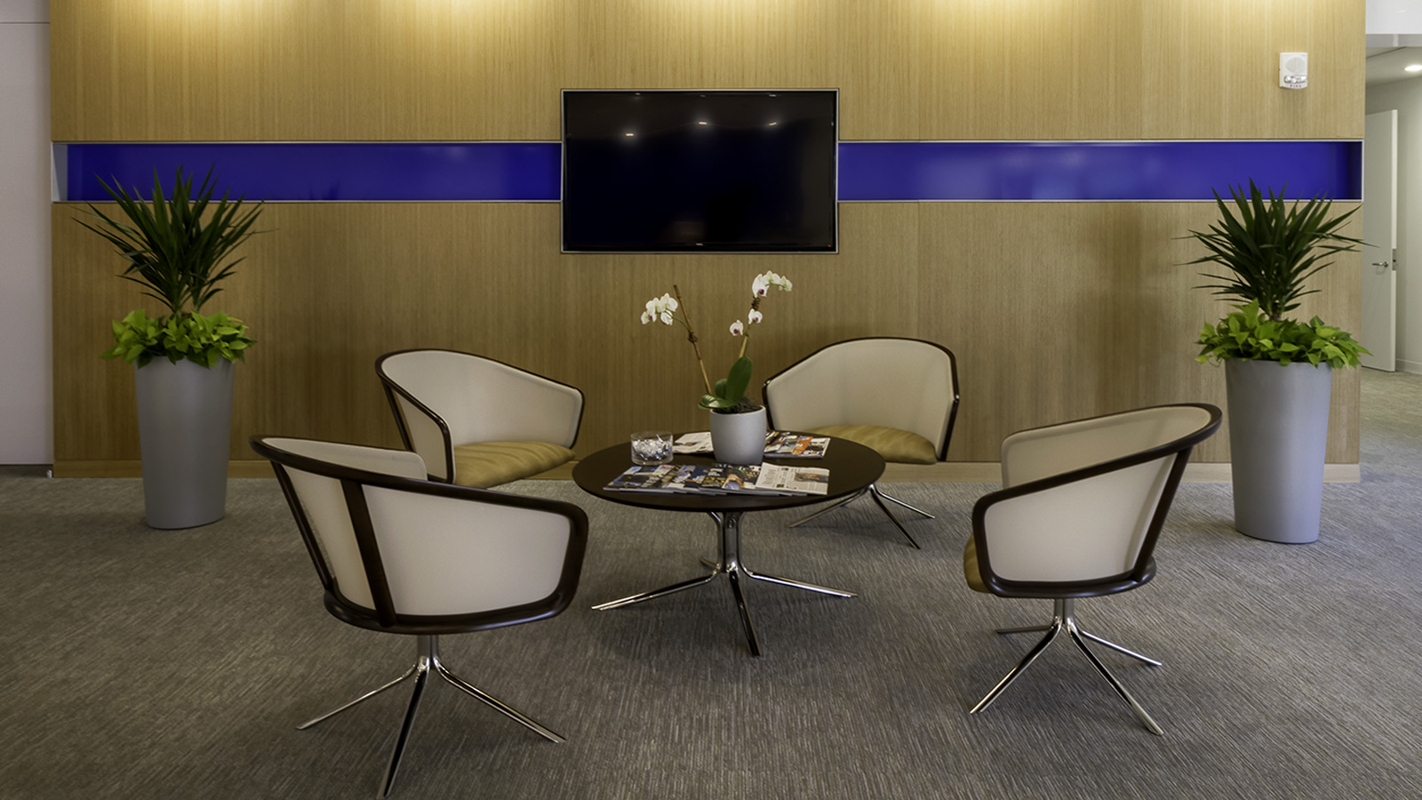 Interior View – Collaborative Lounge Spaces
